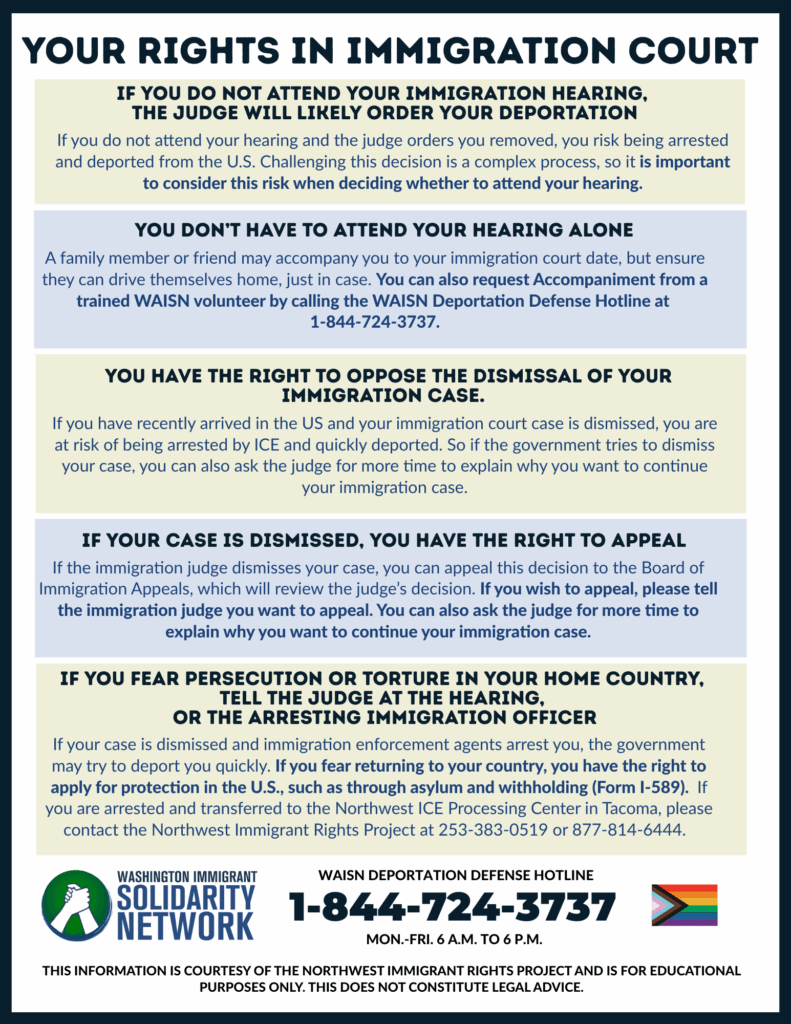 A flyer outlining KYR rights in the court room behind light grey and tan colors.