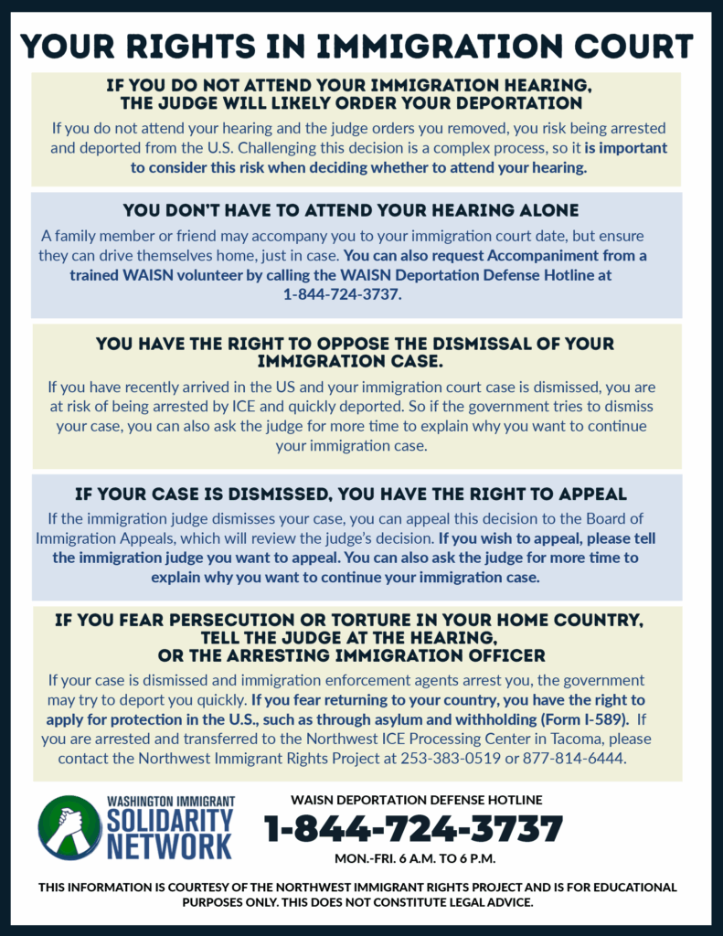 A flyer outlining KYR rights in the court room behind light grey and tan colors.